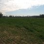 Riverview Farm-Wheat Fields