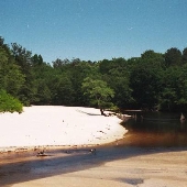 Escatawpa River