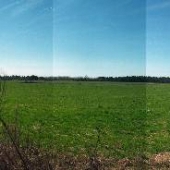 Green Winter Locations