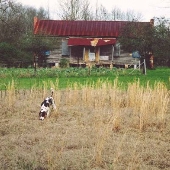 Hagood Cabin