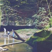 Dismal Canyon