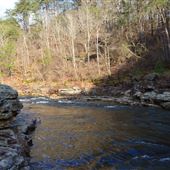 Johnnies Creek