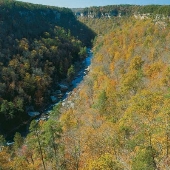 Wolf Creek Overlook