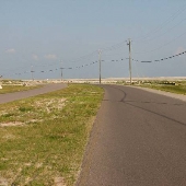 Dauphin Island- West End Beach Rd.