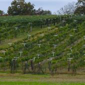 Maraella Winery