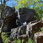 Ruffner Mountain: Quarry