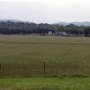 Stanley's Field-Rye Grass