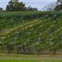 Maraella Winery