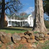 Springhill Plantation