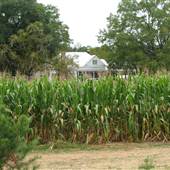 Old Baker Farm