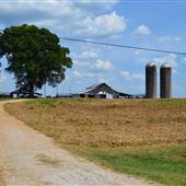 King Farm