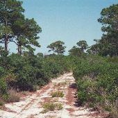 Bon Secour Wildlife Refuge