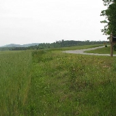 Norton Field
