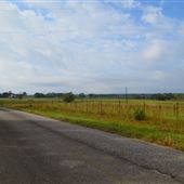Hwy.97- Letohatchee