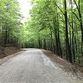 Lookout Mountain "Witches Trail & Cave" Hinds Road