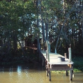 Gravine Island Fish Camp