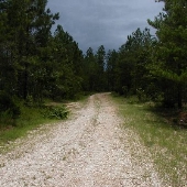 Claude Kelly State Park