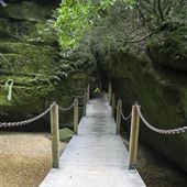 Dismals Canyon