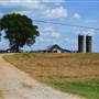 King Farm