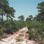 Bon Secour Wildlife Refuge