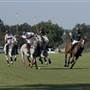 Point Clear Polo Field, Fairhope