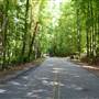 Oak Mountain State Park: Roads