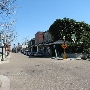 Mobile-Dauphin St.- Wintzell's Block