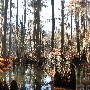 Perry Lakes- Round Lake