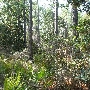 Bon Secour Wildlife Refuge