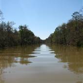 Middle River-Mobile-Tensaw Delta