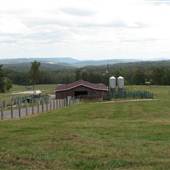 Hallmark Farms