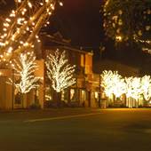 Fairhope Downtown at Night