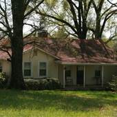 Spring Creek Farm