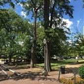 Linn Park