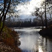 Corn Creek at Coosa River