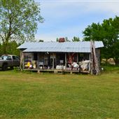 Wible Shack