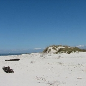 Ft. Morgan Beach