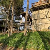 Lake Guntersville Bluff House