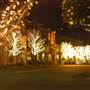 Fairhope Downtown at Night