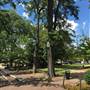 Linn Park