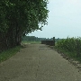Bridge - Country Road