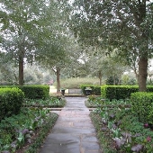 Bellingrath Gardens- Pathways