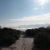 Dauphin Island Bird Sanctuary-Beach