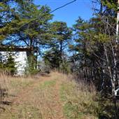 Cheaha State Park- Radio Towers