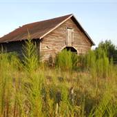 Lane Barns