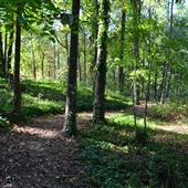 Alabama Wildlife Federation Paths