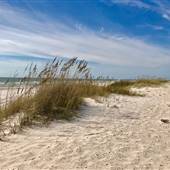 Gulf Shores & Orange Beach