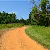 Riverview Farm Dirt Road