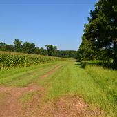Riverview Farm- July 2018