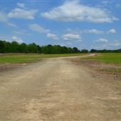 Meadowview Farms-Field near Betheas Place